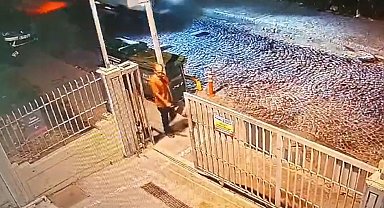 İstanbul'da zihinsel engelli adama sokak köpeklerinin saldırısı sonucu hayatını kaybetti