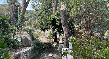 Sarıyer'de çürüyen ağaç gövdesinden koparak mezarlığa devrildi