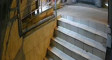 Sultanbeyli'de bir otomobilin motosiklete çarpması sonucu bir köpek öldü, O anlar kamerada