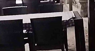 Aç ayı restoran bahçesinde yemek ararken görüntülendi