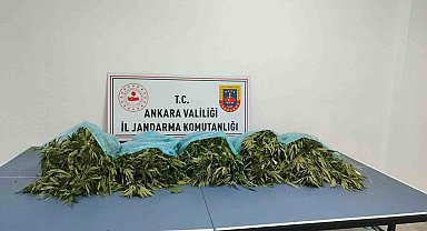 Ankara'da narkotik operasyonu: 25 kilogram kubar esrar ele geçirildi