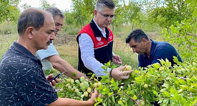 Balıkesir Tarım ve Orman İl Müdürlüğü’nden Hünnap Hasadı Destek Turu