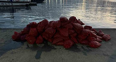 Kadıköy'de tonlarca kaçak midye ele geçirildi