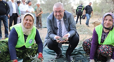 Edremit Belediyesi Zeytin Hasadına Başladı