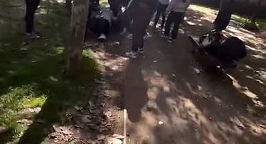 Eyüpsultan'da kız öğrenciler arasında kavga: Darp edilen arkadaşları bayıldı