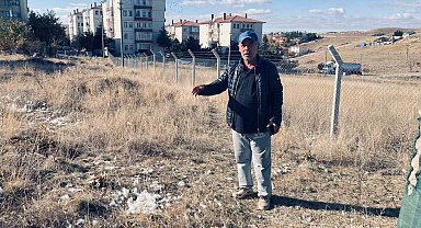 Ankara'da başıboş köpekler 35 tavuğu telef etti