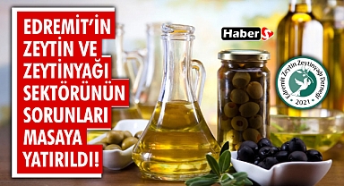 Edremit'in Zeytin ve Zeytinyağı Sektörünün Sorunları Masaya Yatırıldı!