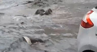 Fatih'te sağanak yağış başladı, Bayrampaşa'da rögar taştı