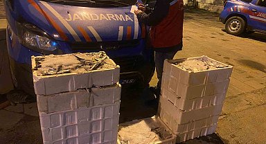 İstanbul'da yasadışı küçük boy balık nakli yapanlara ceza yağdı