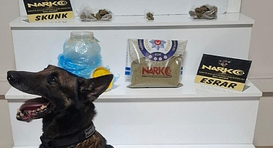 Balıkesir Polisinden Uyuşturucu Ticareti Yapanlara Darbe: 803 Gram Toz Esrar Ele Geçirildi