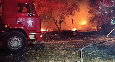 Akçay'da Korkutan Gece: Köpek Çiftliği Alevlere Teslim Oldu!