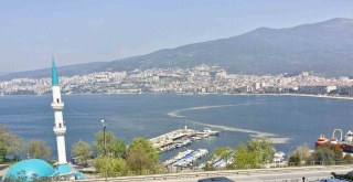 Gemlik Körfezi'nde Artan Müsilaj Endişesi