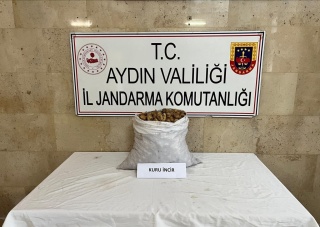 Germencik'te İncir Hırsızlığı Yakalandı