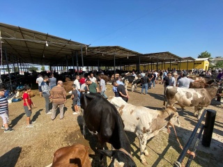 Hayvan Pazarları Geçici Olarak Kapatıldı