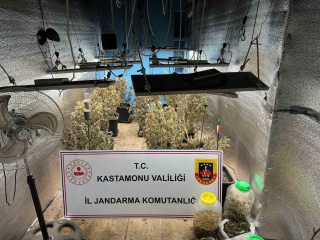 Kastamonu'da Kenevir Yetiştiriciliği Operasyonu Yargılanmaya Devam Ediyor