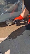 Kırıkkale'de Sıkışan Kaplumbağanın Can Dolu Kurtuluşu
