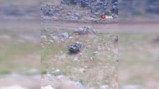 Mereto Dağı'ndaki Kilise Restorasyonunda Trajik Kaza