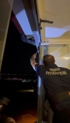 Sivas'ta Atmaca Yavrusunun Kurtarılma Hikayesi